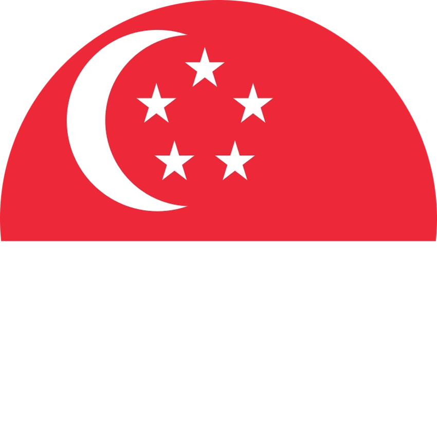 新加坡本土后台