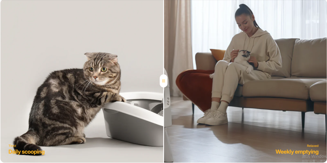 品牌案例分享丨两个99年深圳女孩，如何靠一个“猫厕所”撬动全球千万市场？